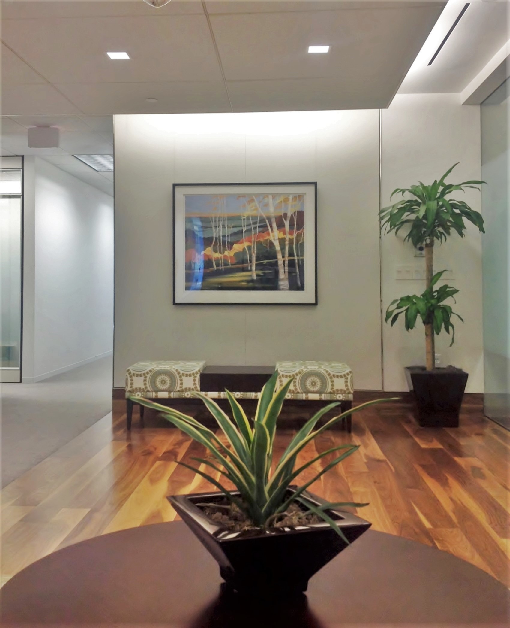 Office Reception Interior design, Office Furniture, Artwork, Arlington VA
